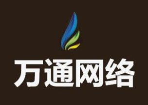 計(jì)算機(jī)技術(shù)服務(wù)綜合解決方案 從開發(fā)到集成與銷售