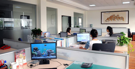 領(lǐng)軍科技未來 計(jì)算機(jī)軟硬件技術(shù)開發(fā)公司簡(jiǎn)介