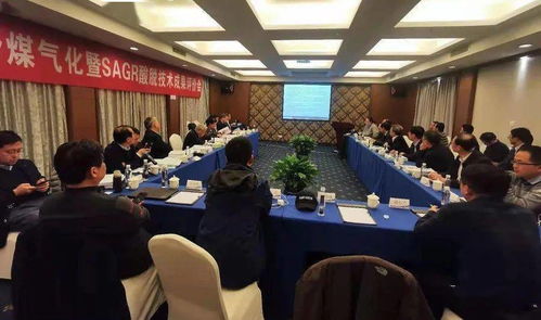 高灰熔點(diǎn)劣質(zhì)煤高效氣化關(guān)鍵技術(shù)開發(fā)及應(yīng)用成果通過(guò)評(píng)審