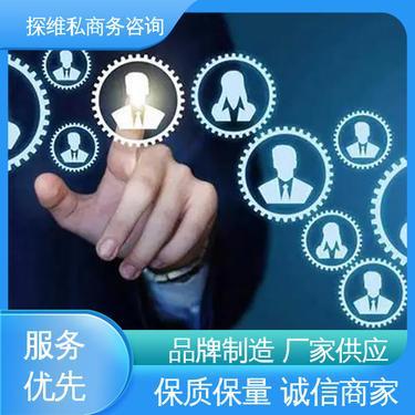 福建探維私商務咨詢 專業(yè)助力企業(yè)成長的商務咨詢服務