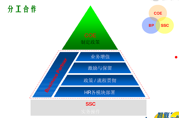 HRBP 從職能專家到業(yè)務(wù)伙伴的角色演進(jìn)與價(jià)值定位