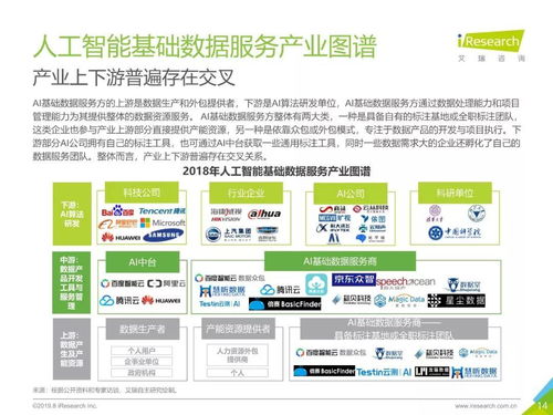 2019年中國人工智能基礎數據服務行業白皮書